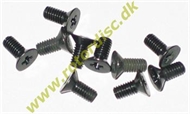 DISK SCREW M2X5 (10)